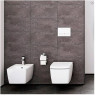 Подвесной безободковый унитаз VITRA METROPOL RIM-EX, с емкостью для чистящей жидкости, с функцией биде и встроенным смесителем 7672B003-1687